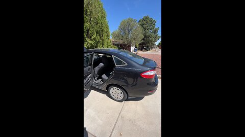 Next Flip