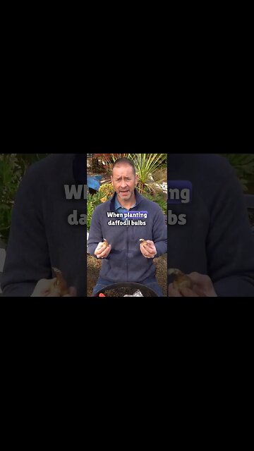 ✨️ If You're Planting Daffodils for the First Time...😉