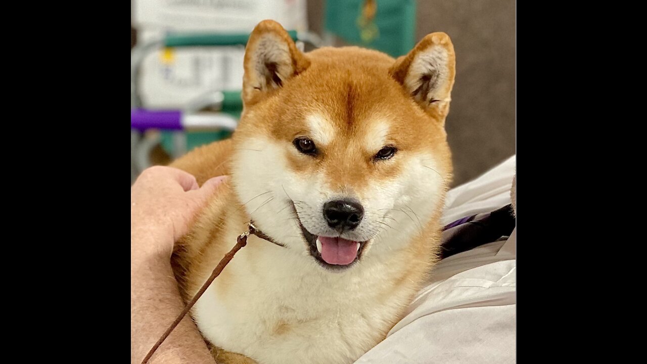The Best Day of Nero's Life - 10/16/21
