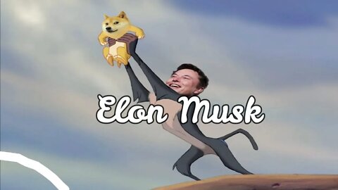 Elon Musk Memes 😆