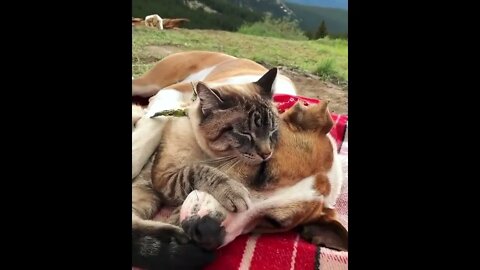 Camping together