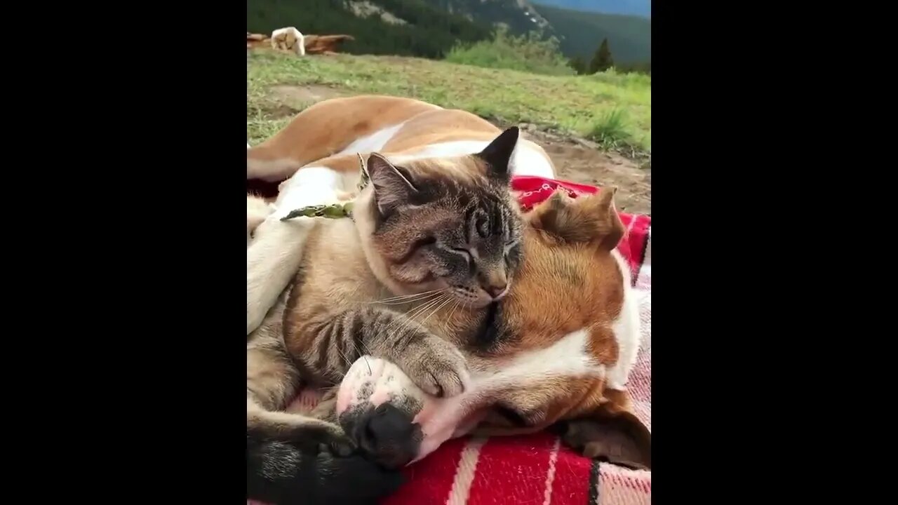 Camping together