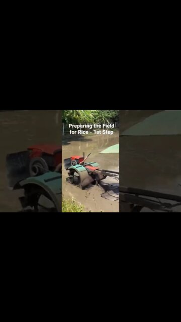 1st Step in Preparing a Rice Paddy for the New Crop - Machines Instead of Buffaloes