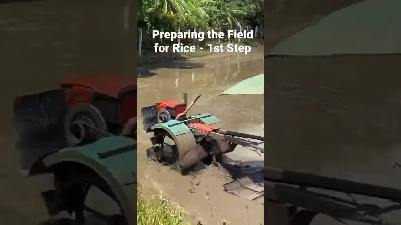 1st Step in Preparing a Rice Paddy for the New Crop - Machines Instead of Buffaloes