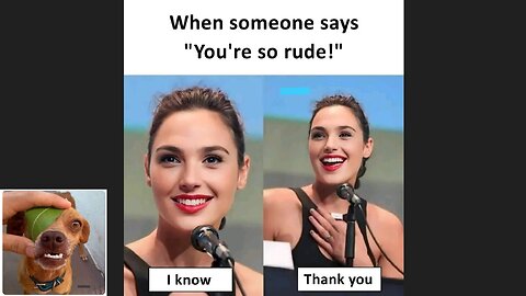 Memes That Will 99.854% Make You Laugh. (e79)