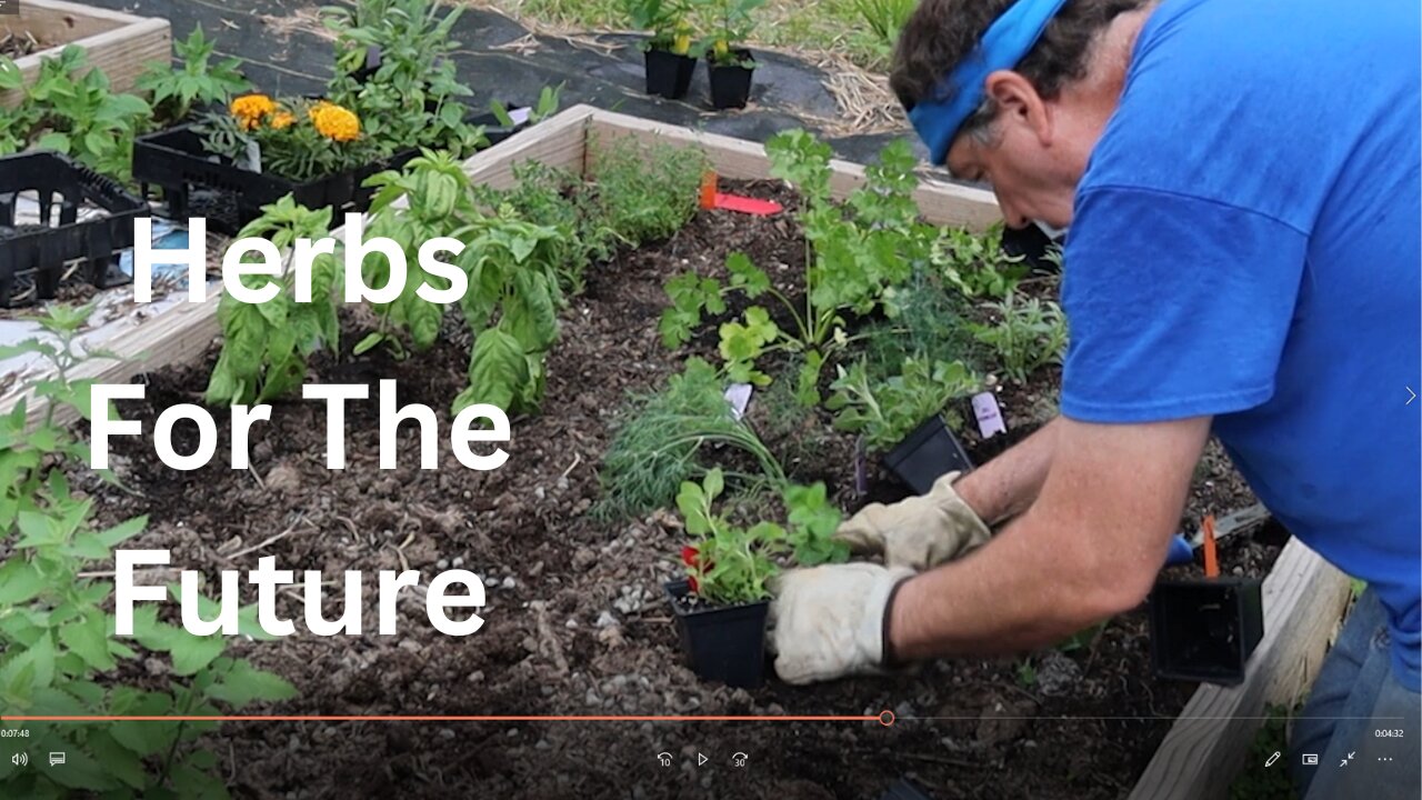 Herbs For The Future. #herbs #farm