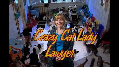 Crazy Cat Lady Lawyer - Episode1: When in Doubt, Make Up Defense