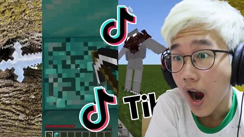 MINECRAFT TIKTOK