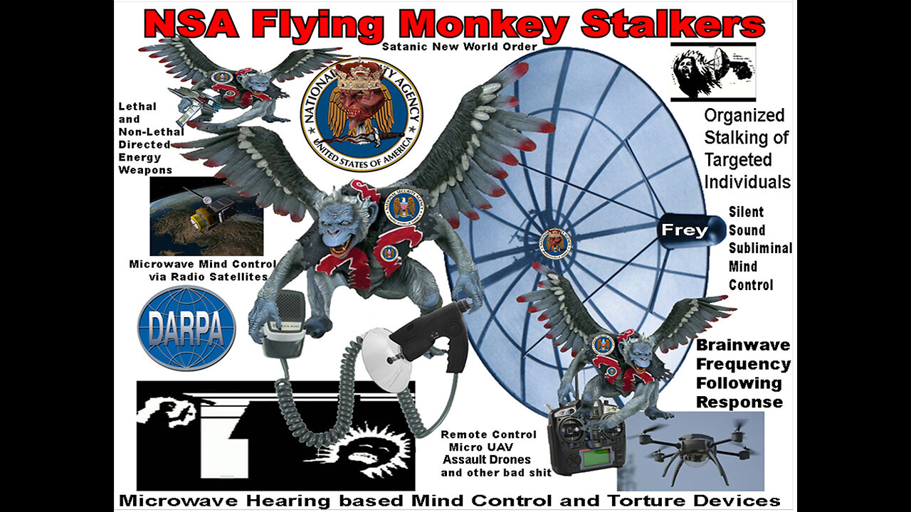 NSA Insects & Biological Weapons OS Fact Based Theory