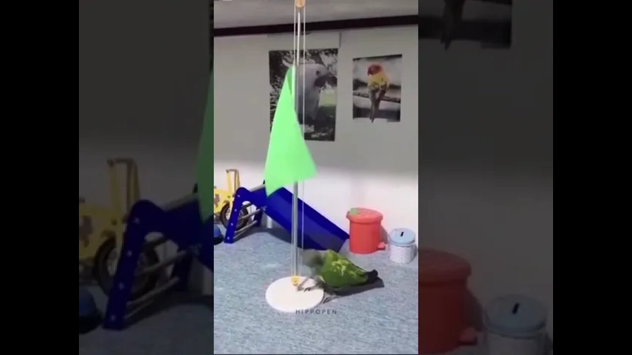There's no way this bird is real