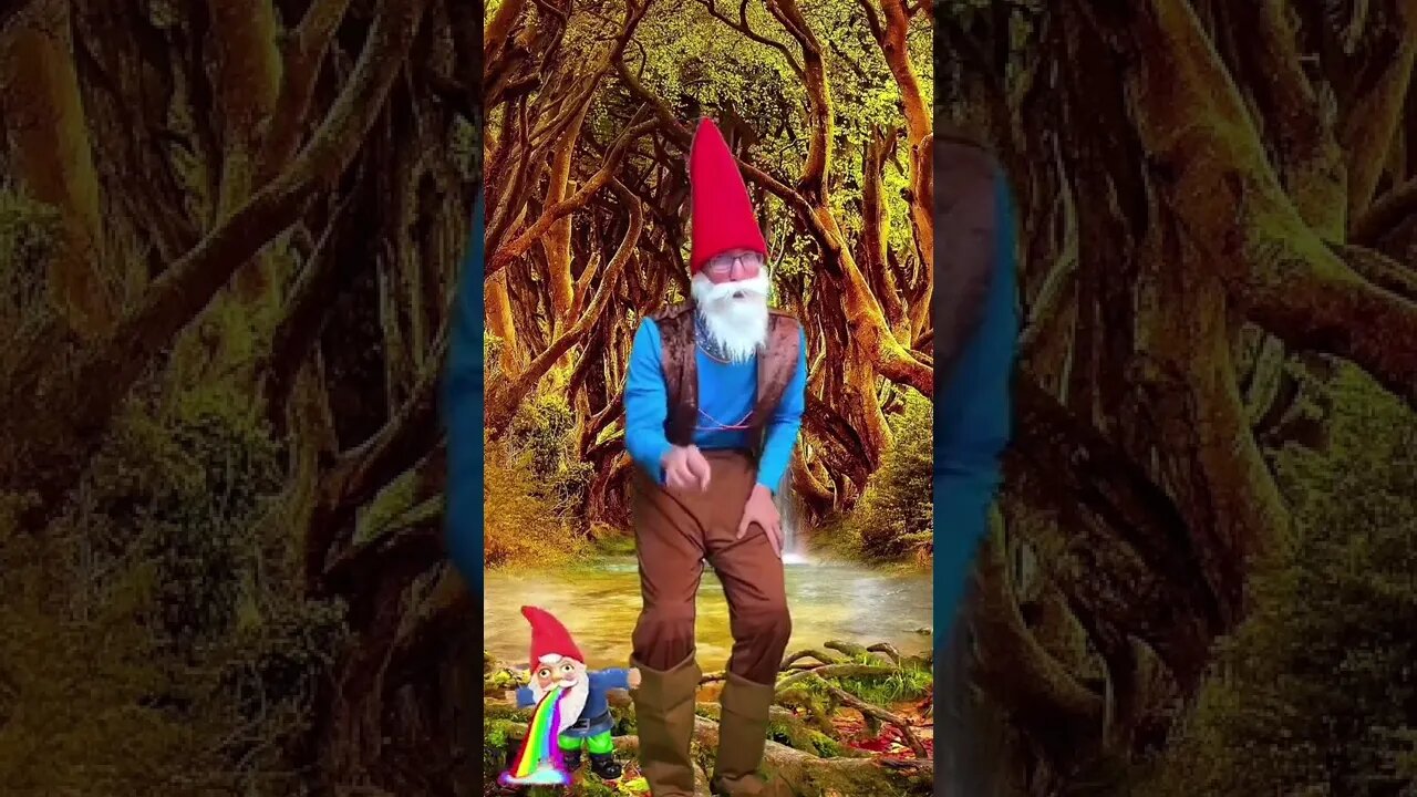 Gnome Vlog Day 1