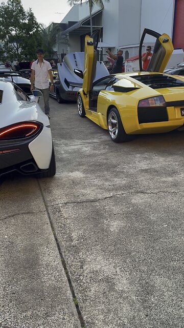 Mclaren and Lamborghini