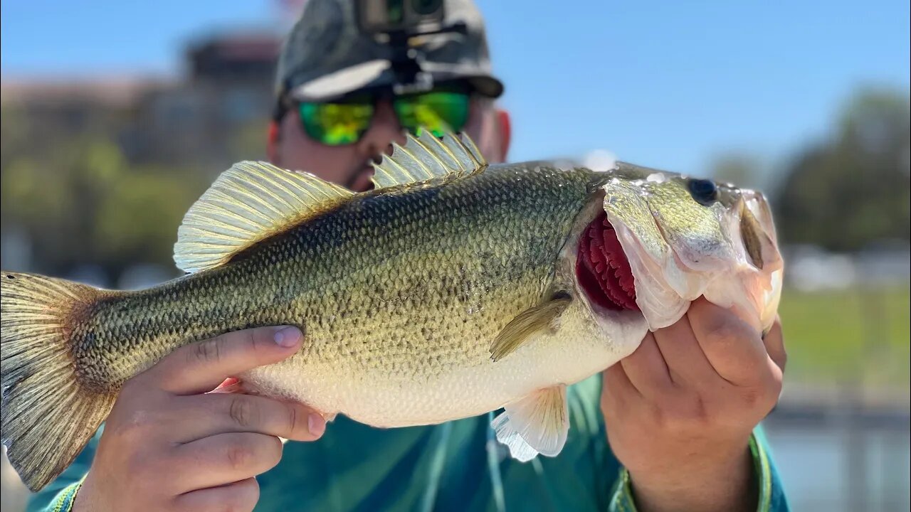 Another BIG Bed Bass