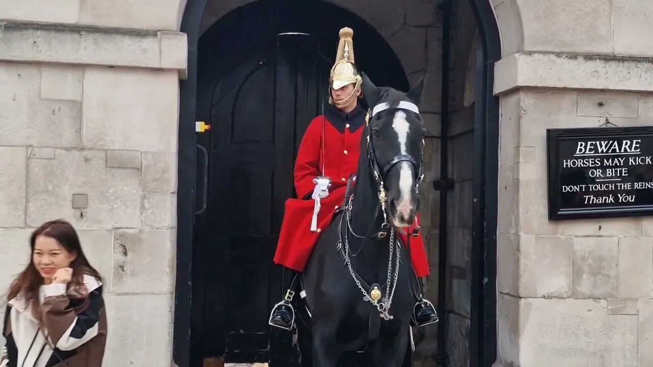 Horse not wanting her touch (get back) #horseguardsparade