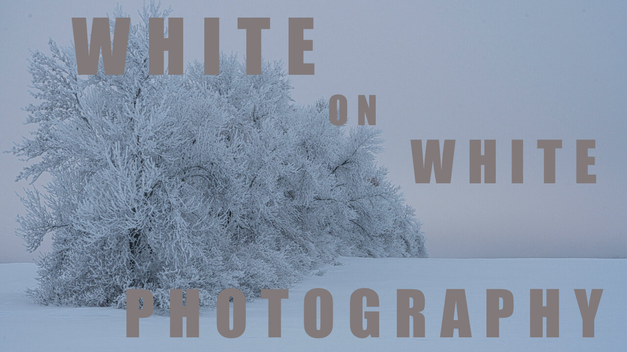 Winter White on White