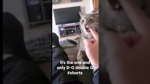 It's the one and only D-O double G #shorts