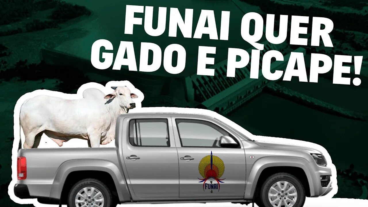 Funai quer gado e picape!