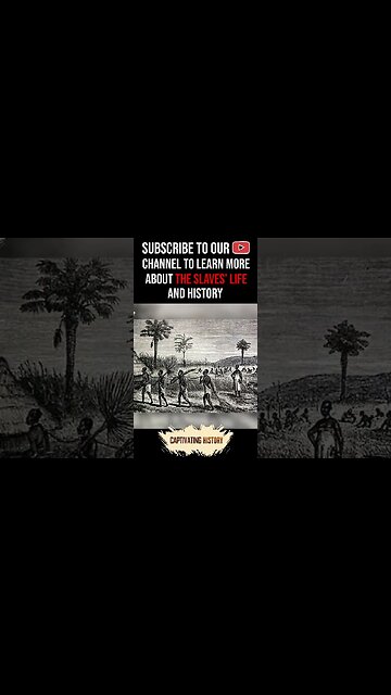 How Were Slaves Treated in Different Parts of the New World? #shorts