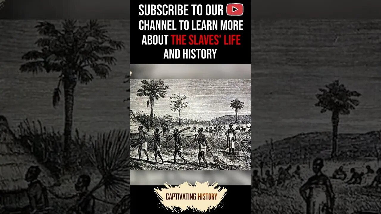 How Were Slaves Treated in Different Parts of the New World? #shorts