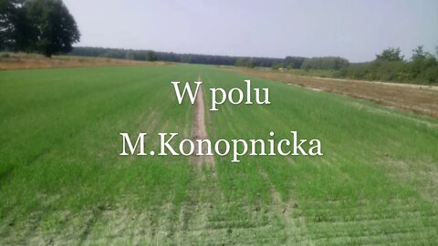 W polu -M.Konopnicka