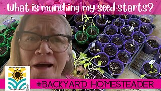 FINAL Summer Garden Tour 2022 and Talk About Roots and Refuge Farm