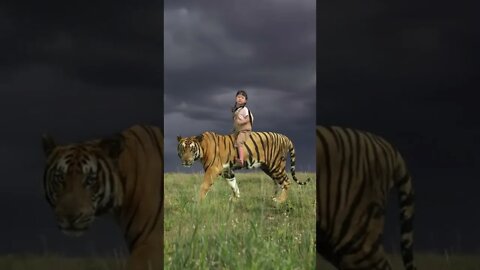 Baby riding a big cat shopping