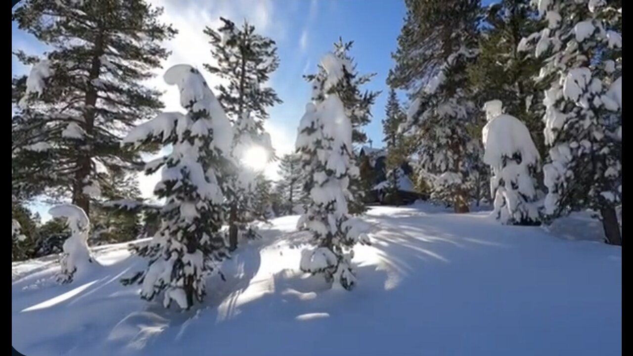 Fun times in the high sierras