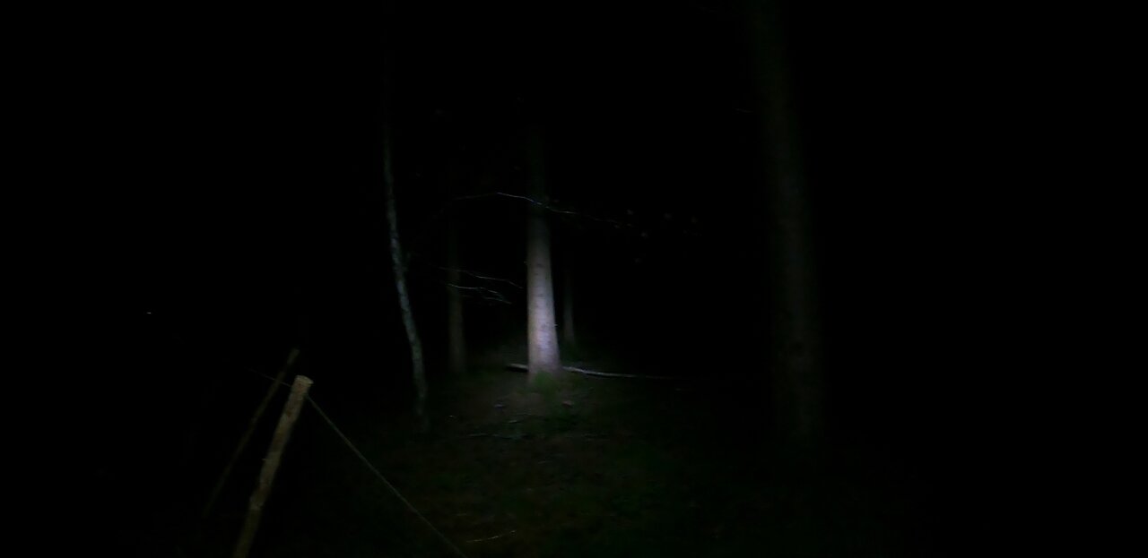 Camera test on the GoPro before filming a night hike in the woods20th Jan 2023