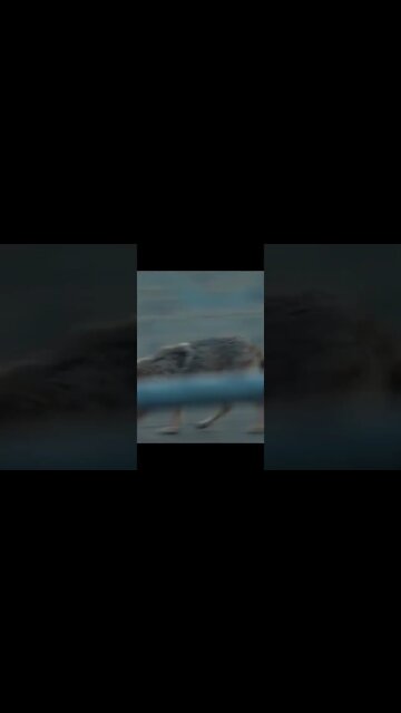 Breaking News (War-Related) #shorts