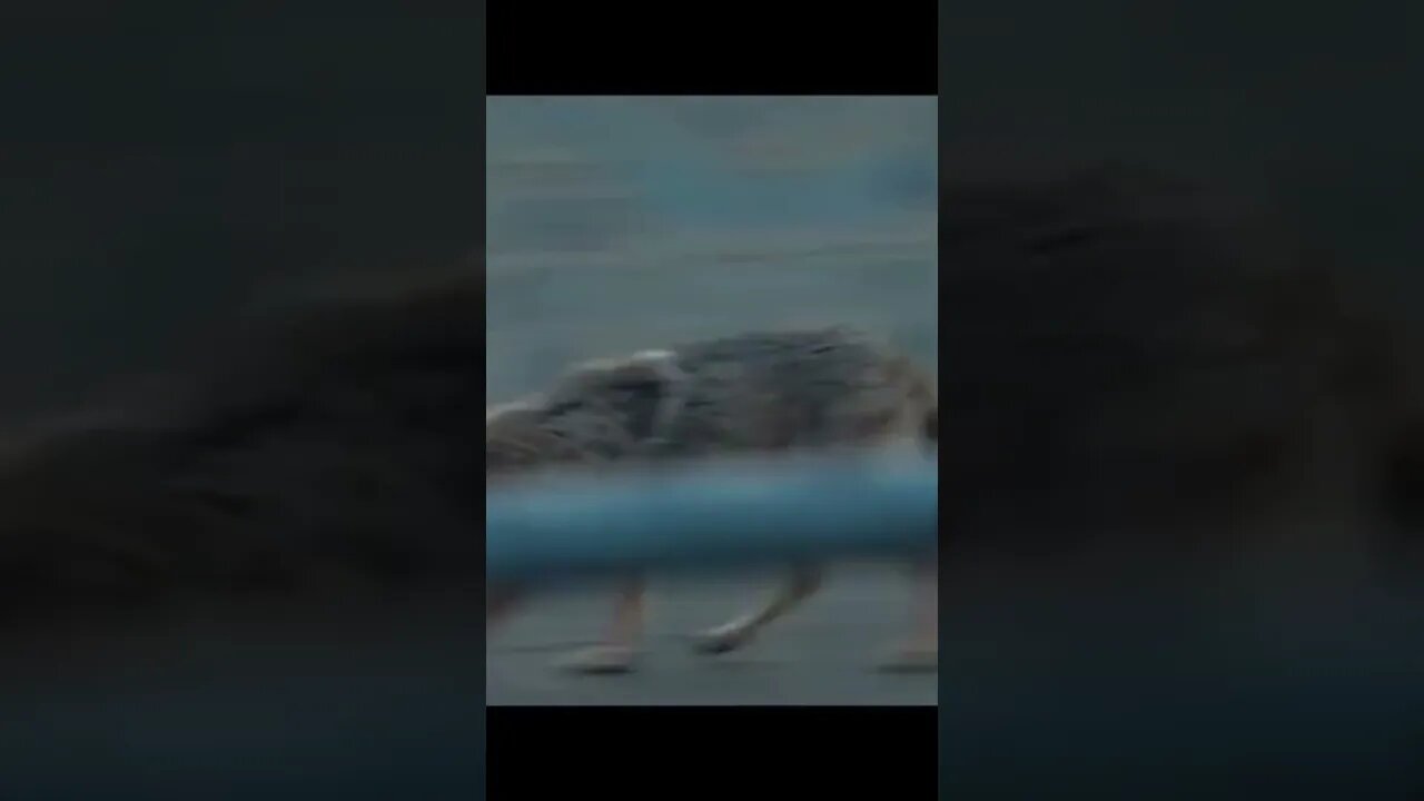 Breaking News (War-Related) #shorts