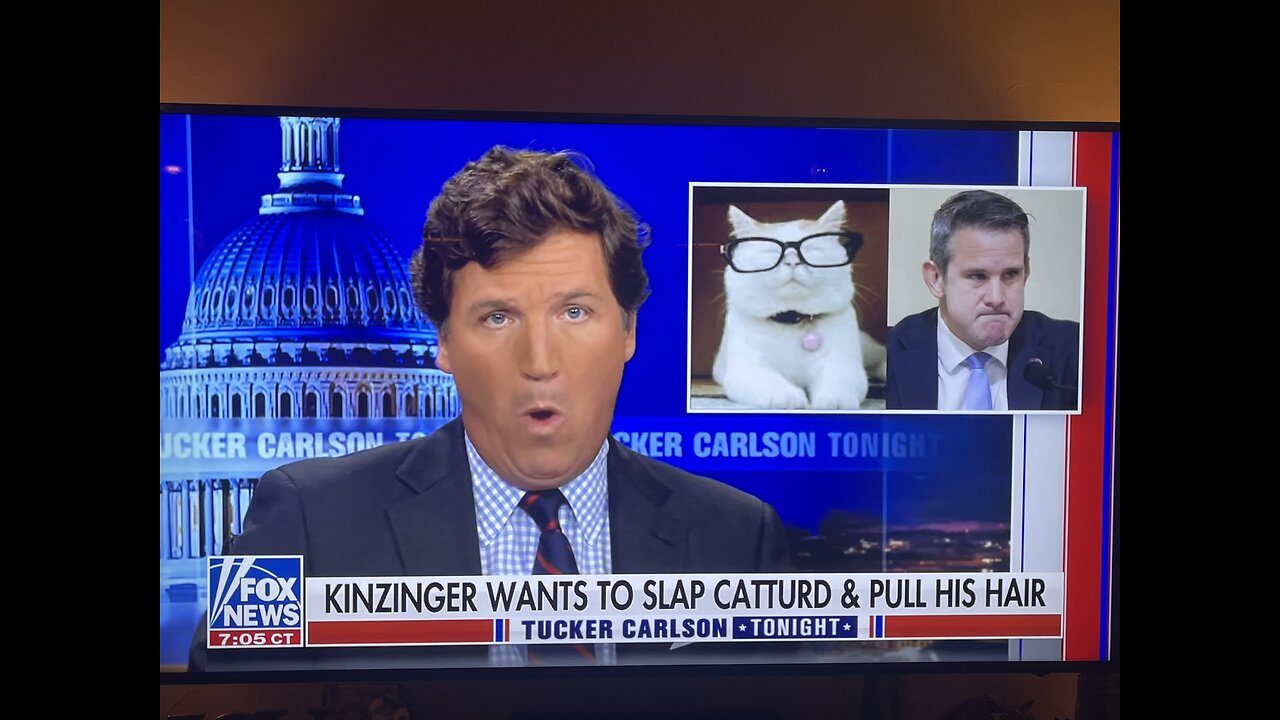 Cat turd is a National Treasure. 😶‍🌫️