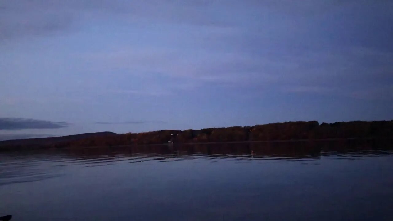 Canada geese- evening paddle
