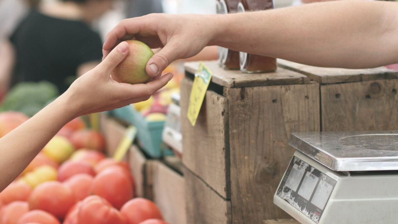 Study finds grocery costs eat up majority of Americans’ monthly budget