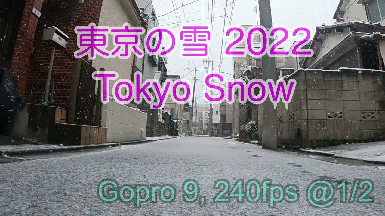 東京の雪 / Tokyo Snow 2022