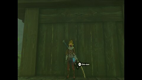 Totk from Lookout Landing to Hyrule Castle underground