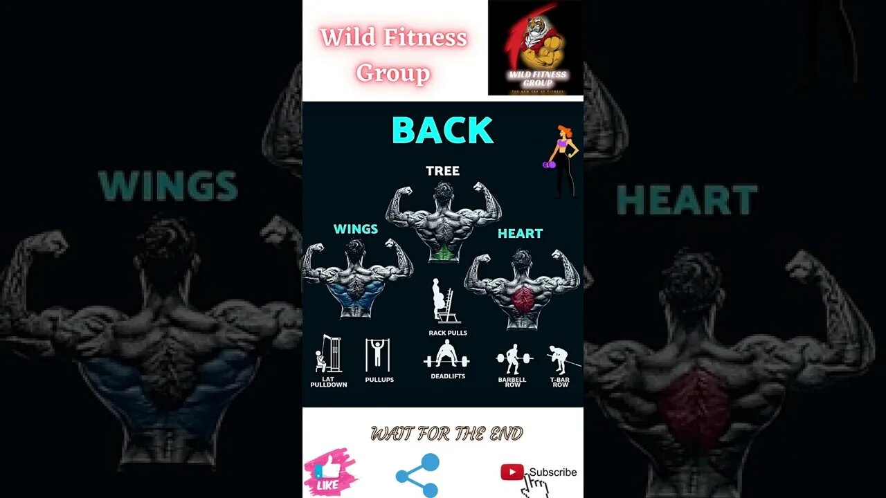 🔥Back🔥#shorts🔥#wildfitnessgroup🔥9 June 2022🔥