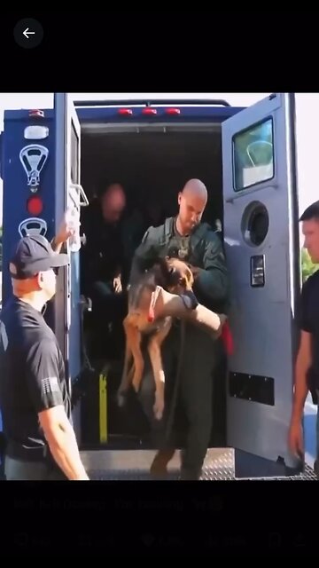 Heart Broken! Thank You For Your Service K9 Dooley.