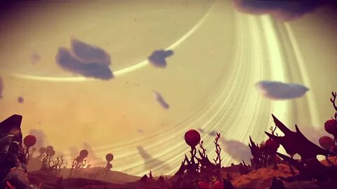 Camera feed from an alien world (No Man's Sky) short version