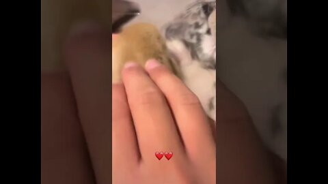 SE DEIXOU SEU CORAÇÃO QUENTE SE INSCREVE NO CANAL