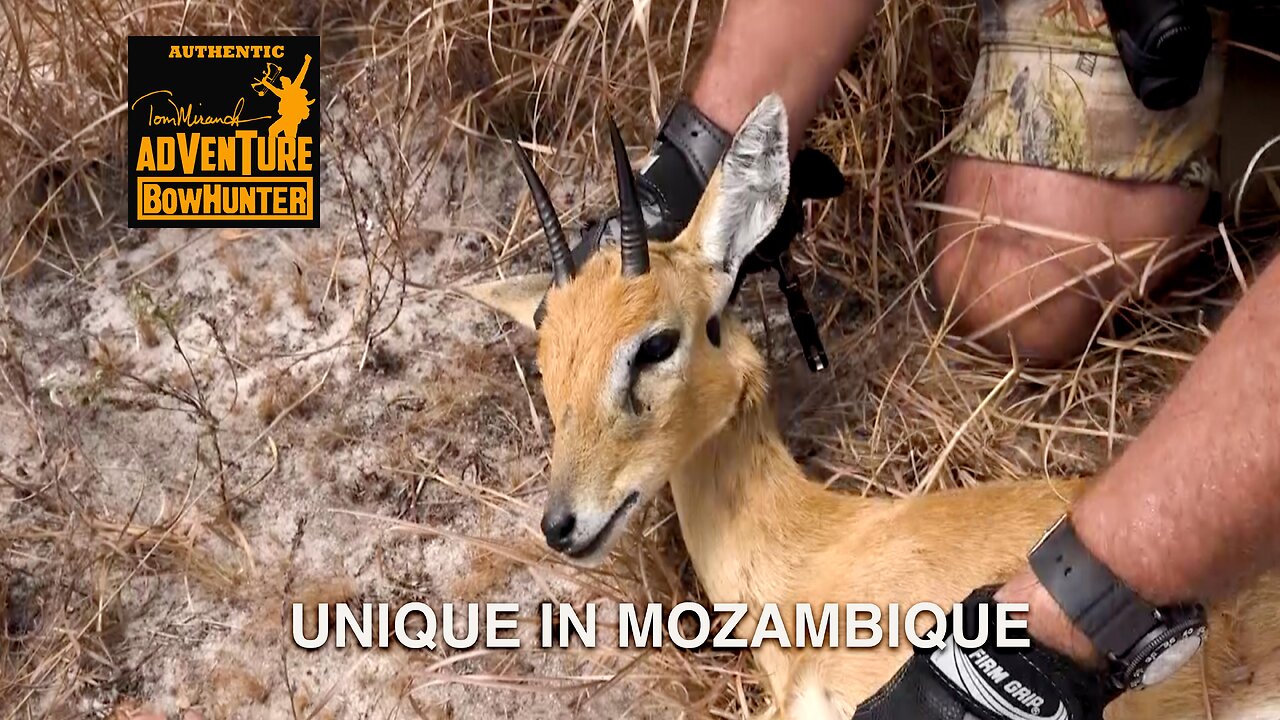 Unique in Mozambique