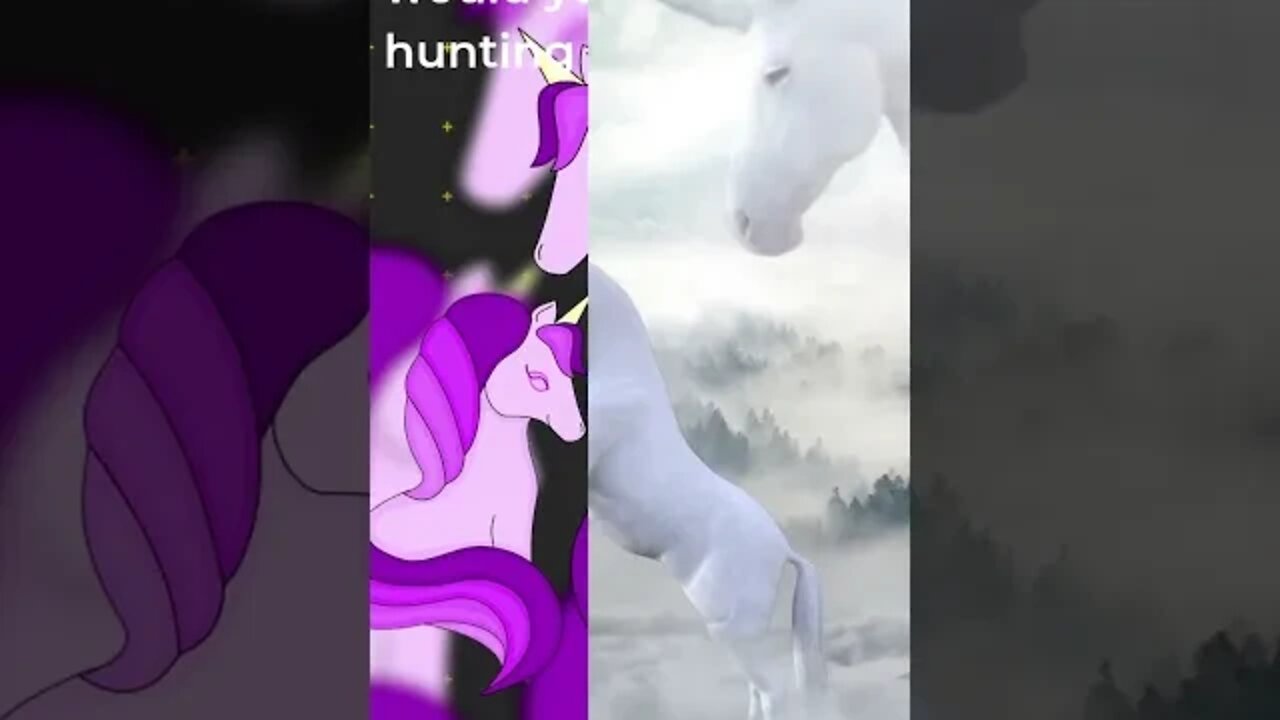 Unicorn Hunting, Fun Facts, #shorts.