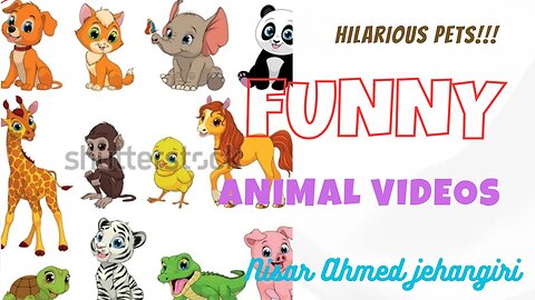 animal funny video | funny animal videos try not to laugh