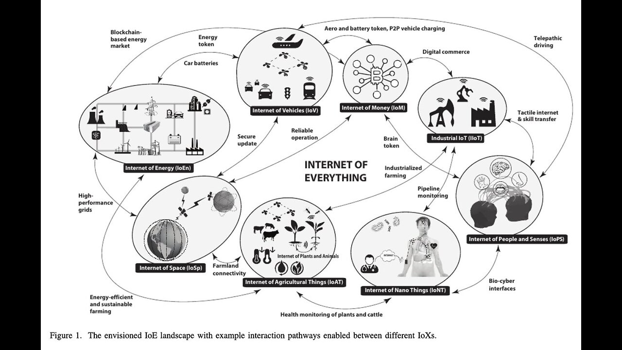 Sabrina Wallace - Internet of Bio Nano Things - Body to Body Network #ProjectWarpSpeed