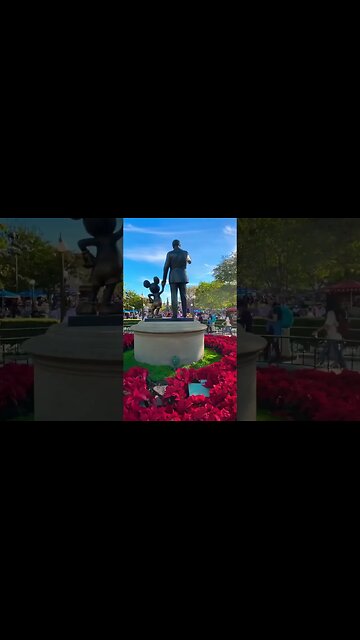 The Hub is decorated with poinsettias #disneyland #christmas #poinsettias #partners #mickeymouse