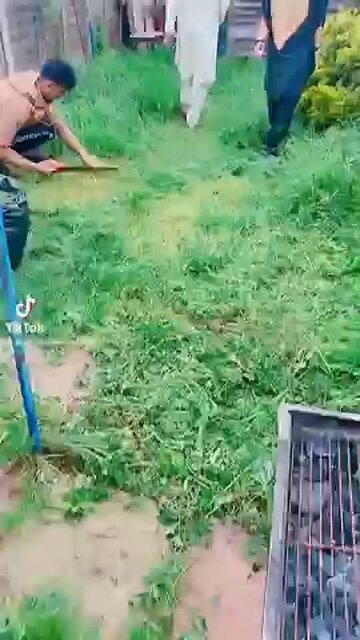 Facharbeiter beim Gras sägen 🪚