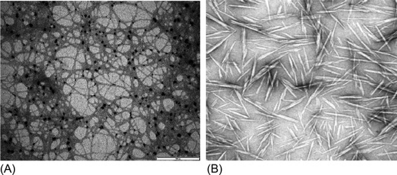 CELLULOSE NANOFIBRES (CNF)