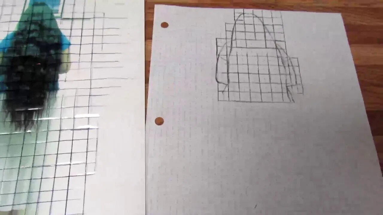 Using The Grid Method To Draw A Long Hair Self-Portrait