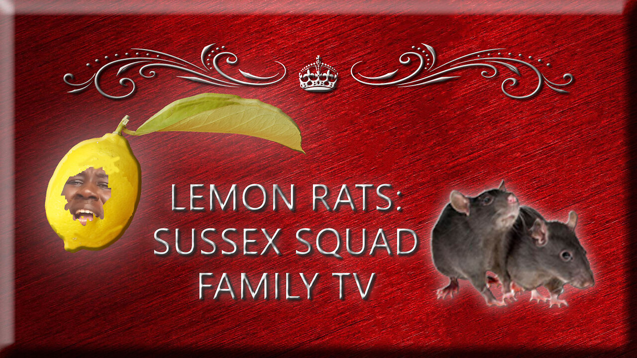 Lemon Rat: Sussex Squad Family TV