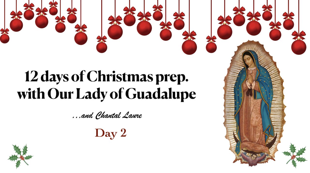 2 - 12 days of Christmas Prep. - Recapturing the history & context around the apparition