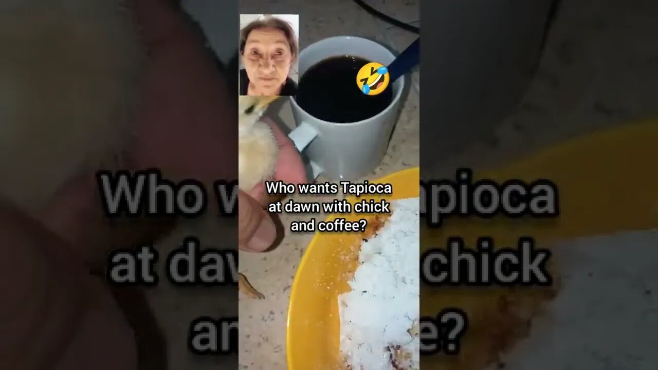 QUEM QUER TAPIOCA, PINTO E CAFÉ? Who wants Tapioca at dawn with chick and coffee? In Brasil!